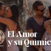 El amor y su química